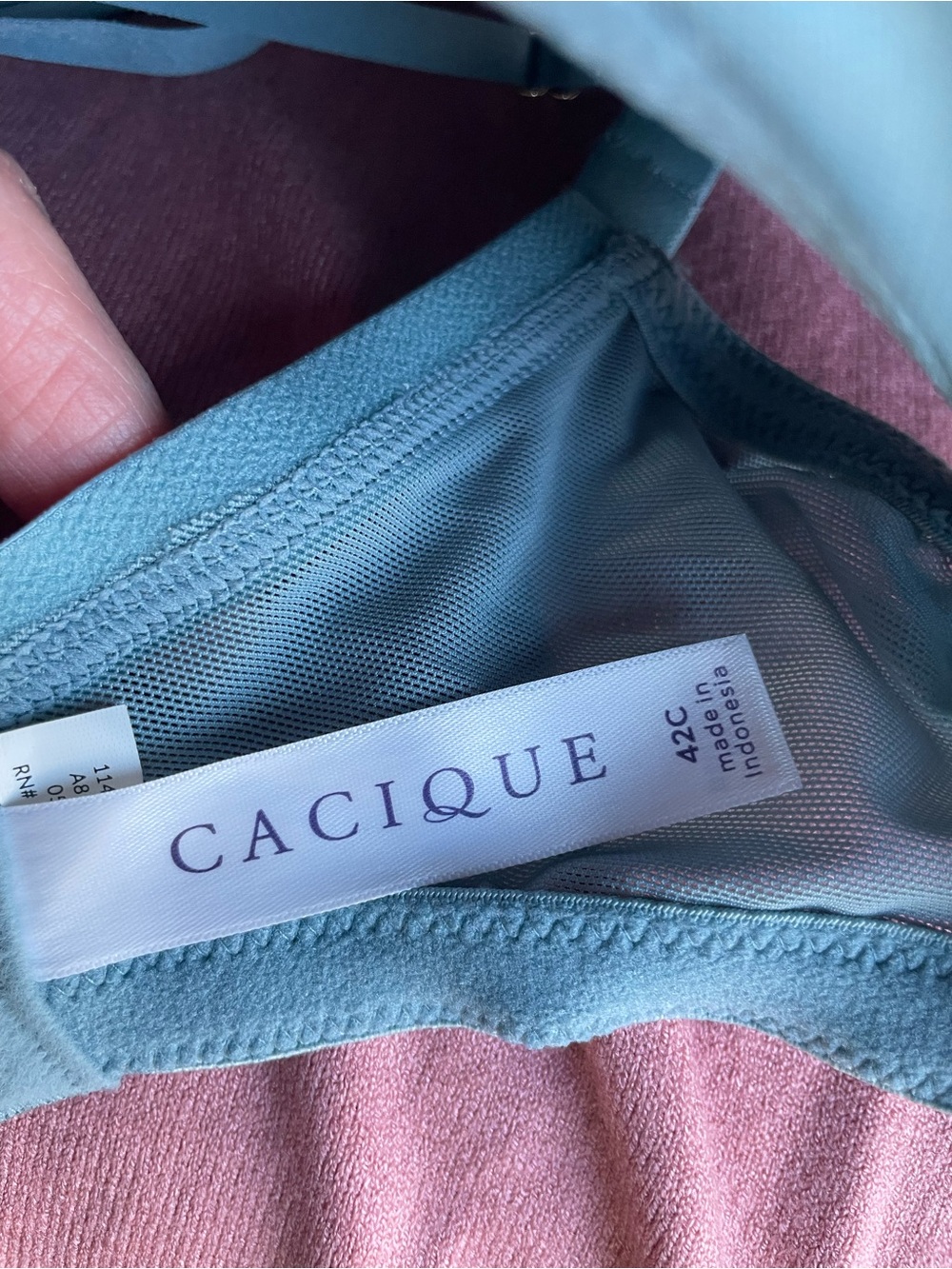 Cacique 42C Sexy Floral Lace Underwire Bra in Teal and Pink - Picture 4 of 10